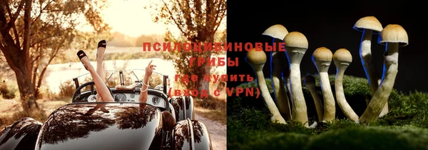 прущие крисы Каменногорск