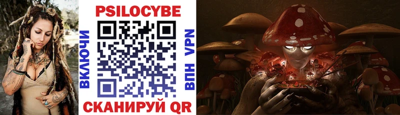 Галлюциногенные грибы Cubensis  где купить наркоту  Афипский 
